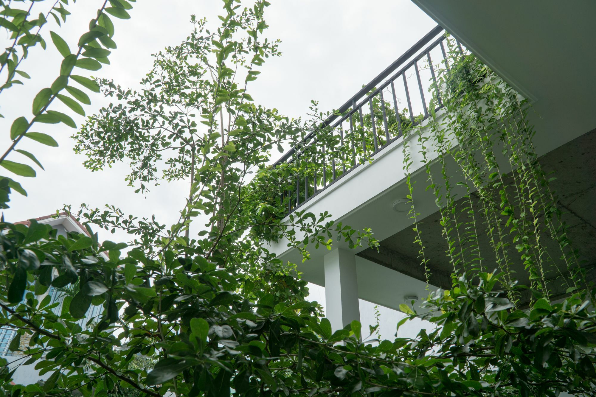 Kiu House - 3Br - Green & Artistic Da Nang Exterior foto